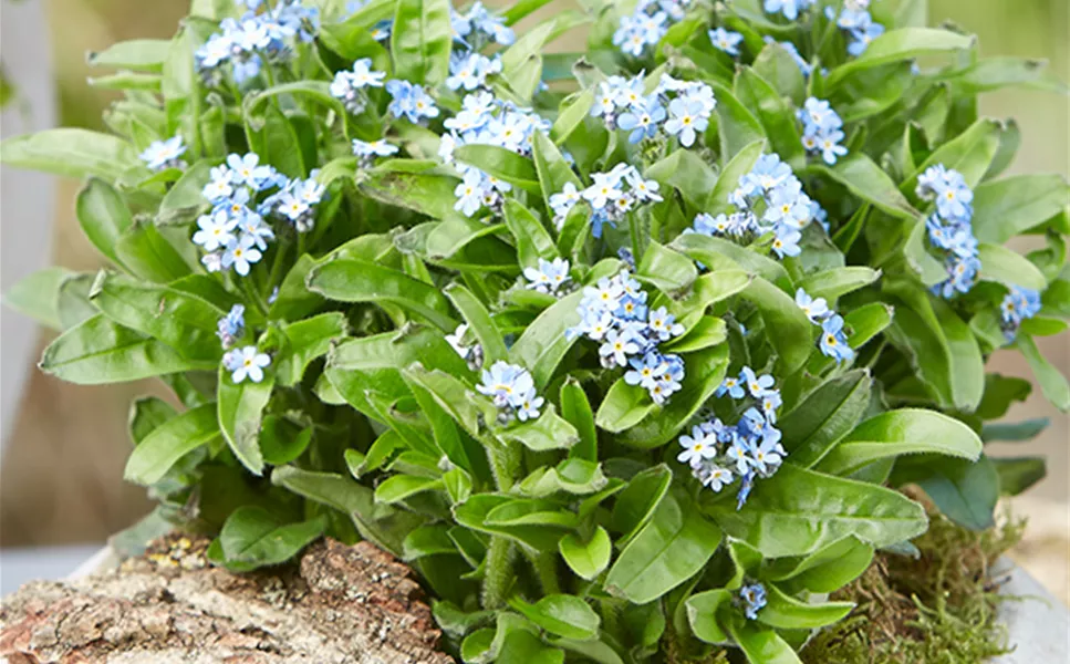 UNSERE ANGEBOTE DER WOCHE!