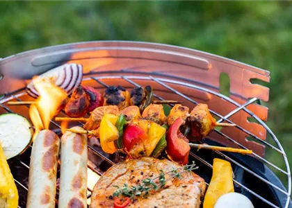 DIE GRILLSAISON IST ERöFFNET!