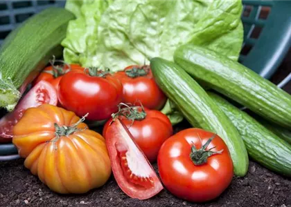 ALLES FÜR DEN BAUERNGARTEN