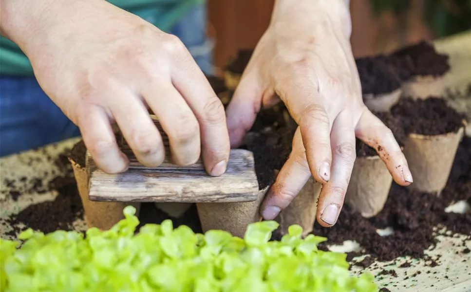 VIDEOS - TIPPS UND TRICKS! VIDEOS - TIPPS UND TRICKS!