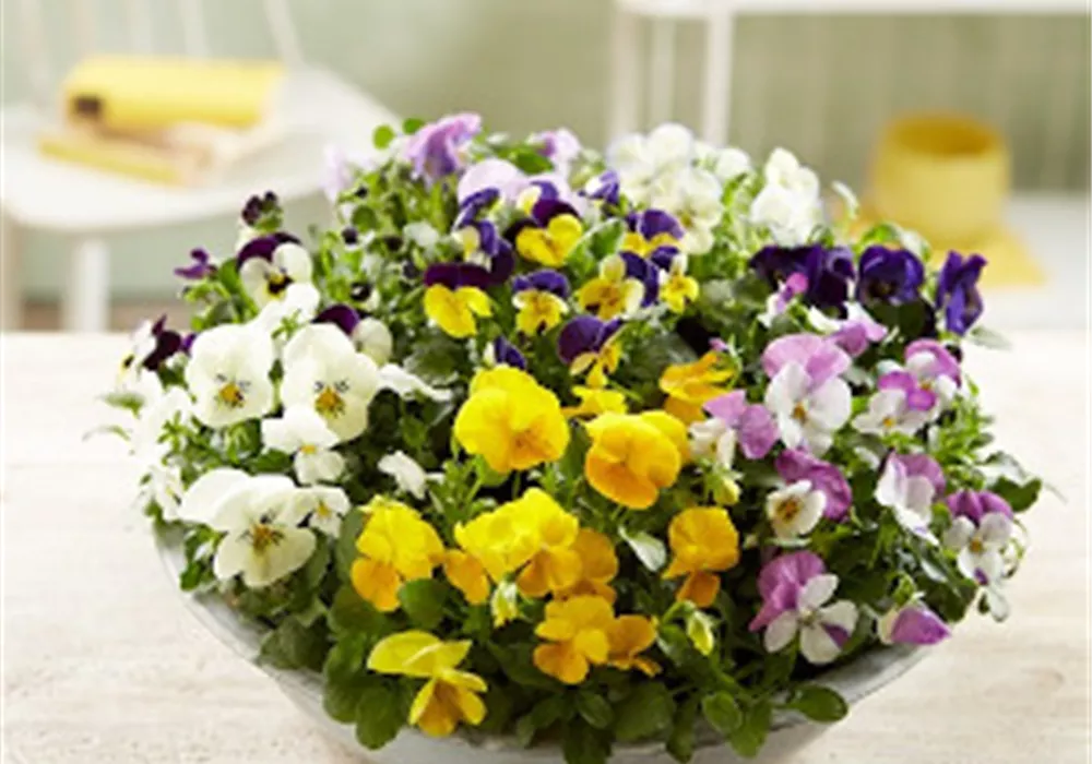 Heute schon vormerken! - Gläserene Produktion