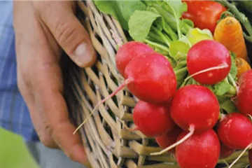 AUF GUTE NACHBARSCHAFT! AUF GUTE NACHBARSCHAFT!