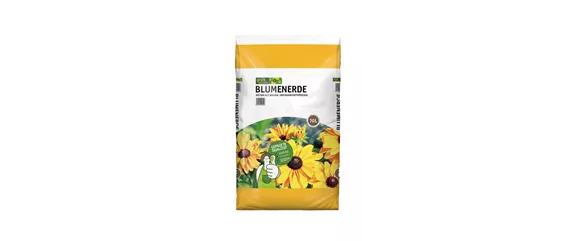 Sonnenhut Rudbeckia