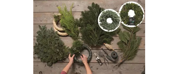 DRAUSSEN FUNKELT ES SEHR! DRAUSSEN FUNKELT ES SEHR!