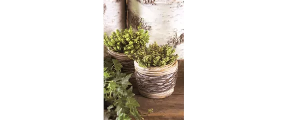 DRAUSSEN FUNKELT ES SEHR! DRAUSSEN FUNKELT ES SEHR!