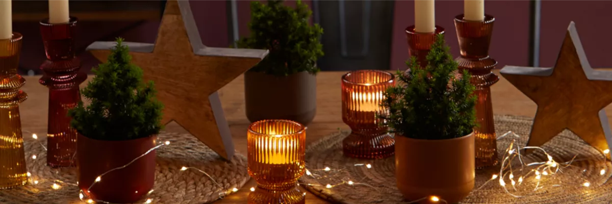 WEIHNACHTSTREND „HELENA“