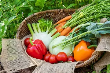 Anzucht: Vor die Tür gesetzt Anzucht: Vor die Tür gesetzt