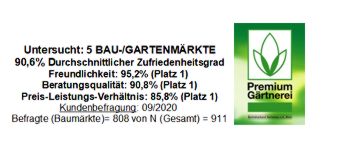 head-fruehling3.jpg