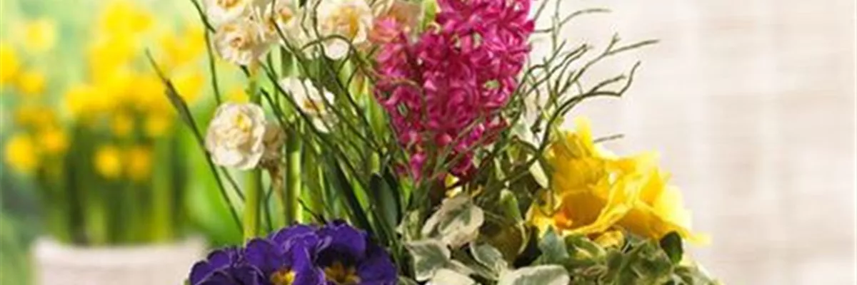 PFLANZIDEEN: FRüHLINGSBLüHER