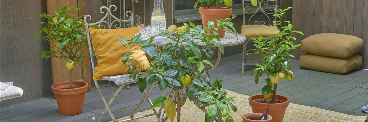 EIN GANZ BESONDERER DUFT LIEGT IN DER FRüHLINGSLUFT!