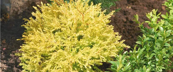 DAS GRAB IM HERBST! DAS GRAB IM HERBST!