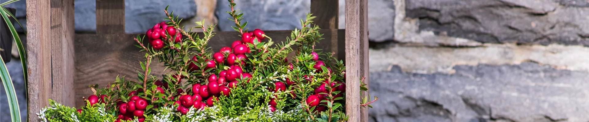 DIE FARBEN DES HERBSTES!