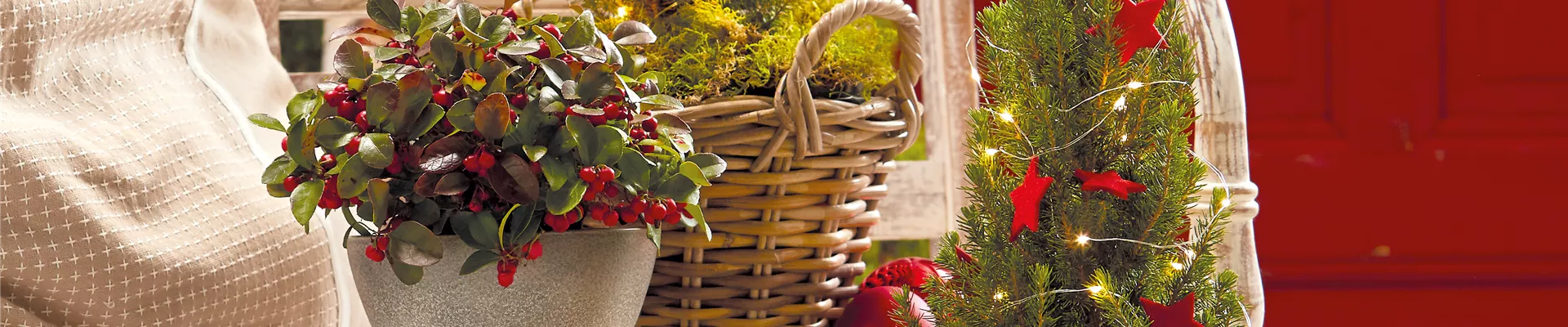 WINTERLICHE GESCHENKIDEEN! 