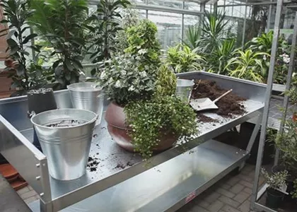 Blumenkübel - Dauerhafte Bepflanzung Blumenkübel - Dauerhafte Bepflanzung