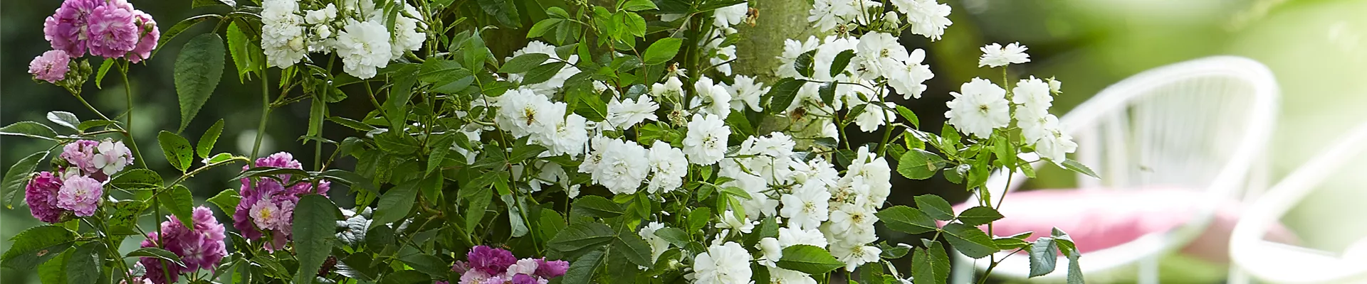 WILDER BAUERNGARTEN!