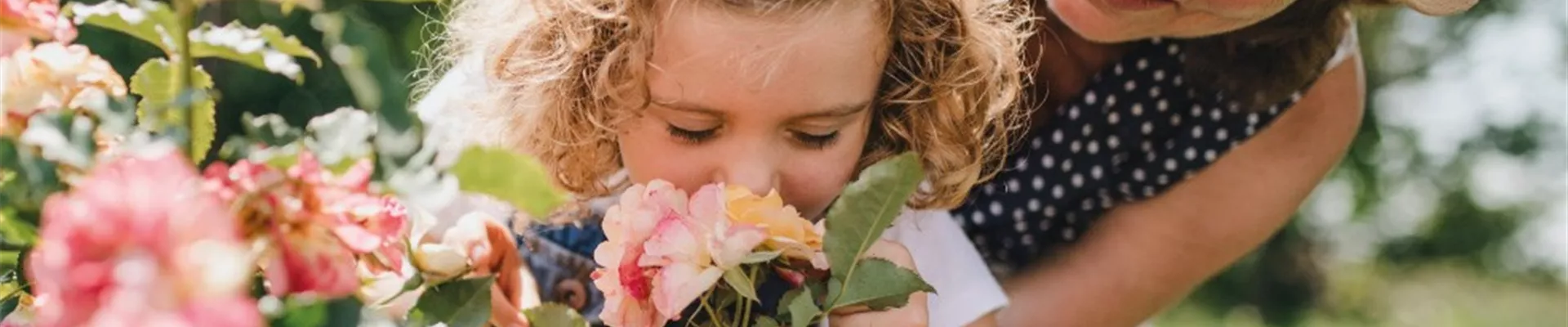 VOLLE BLüTE, VOLLER DUFT!