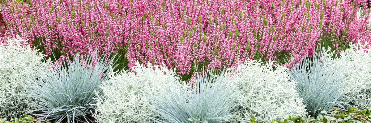 ZEIT DER ERINNERUNG!