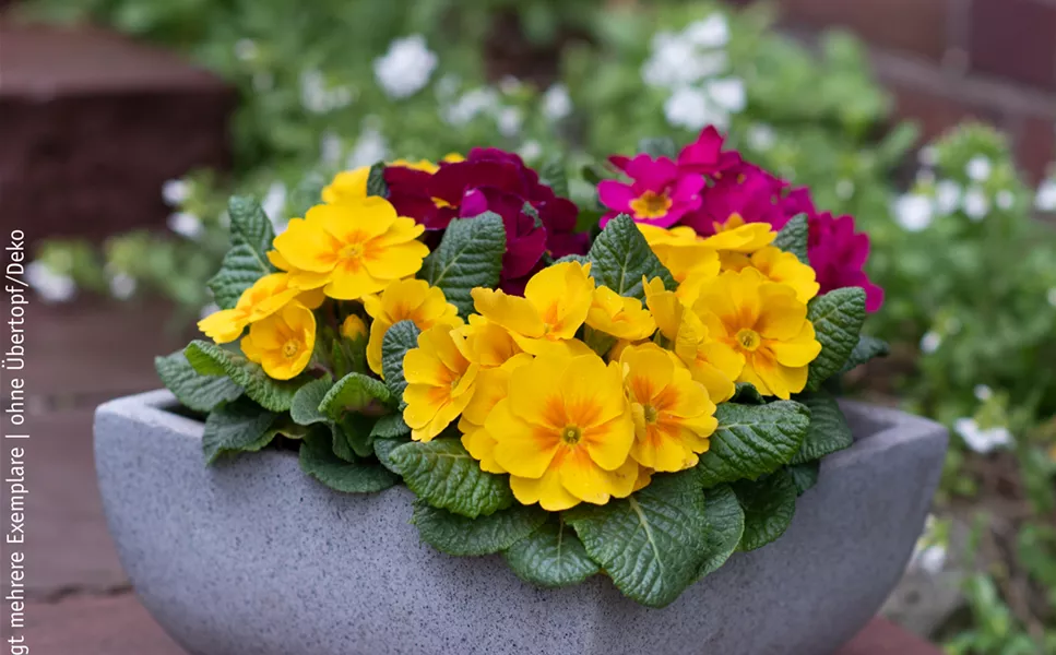 UNSERE ANGEBOTE DER WOCHE!