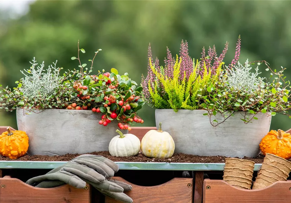 Der Herbst ist da ...