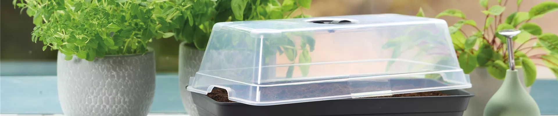 PLATZ DA AUF DER FENSTERBANK!