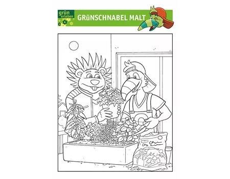 Grünschnabel Malvorlage 3 25 Grünschnabel Malvorlage 3 25