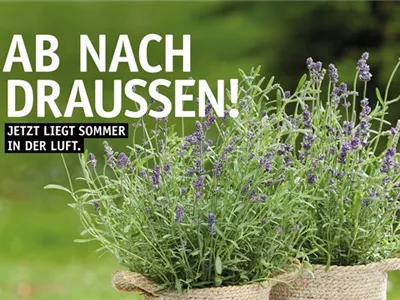 Unser aktueller Prospekt