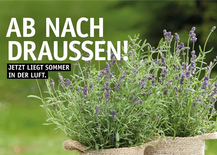 Unser aktueller Prospekt