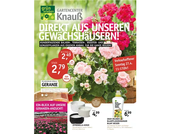 Direkt aus unseren Gewächshäusern