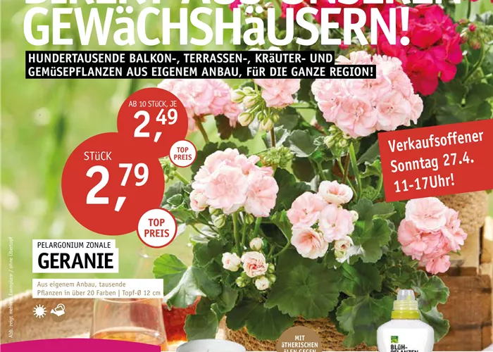 Unser aktueller Prospekt