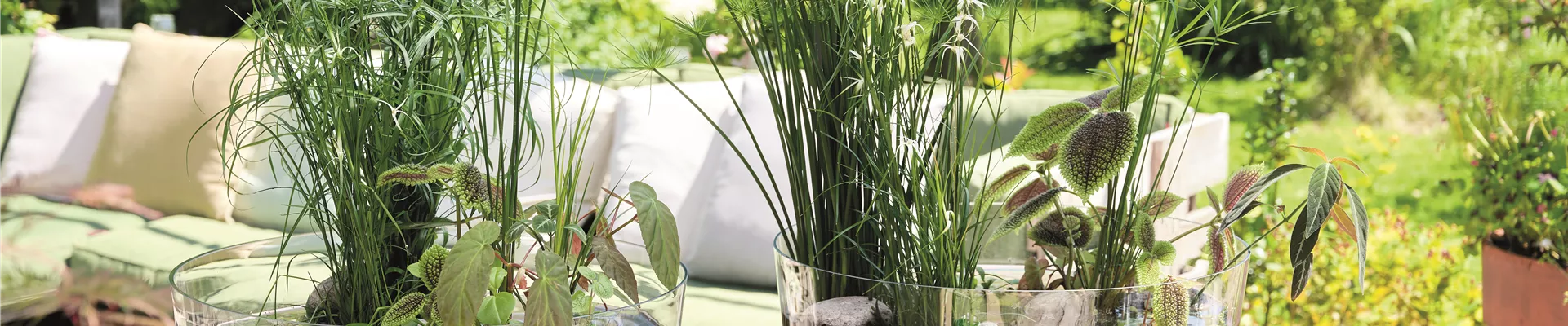 FASZINATION WASSERGARTEN!