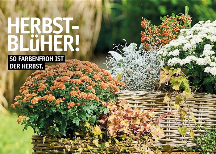 Herrlicher Herbst