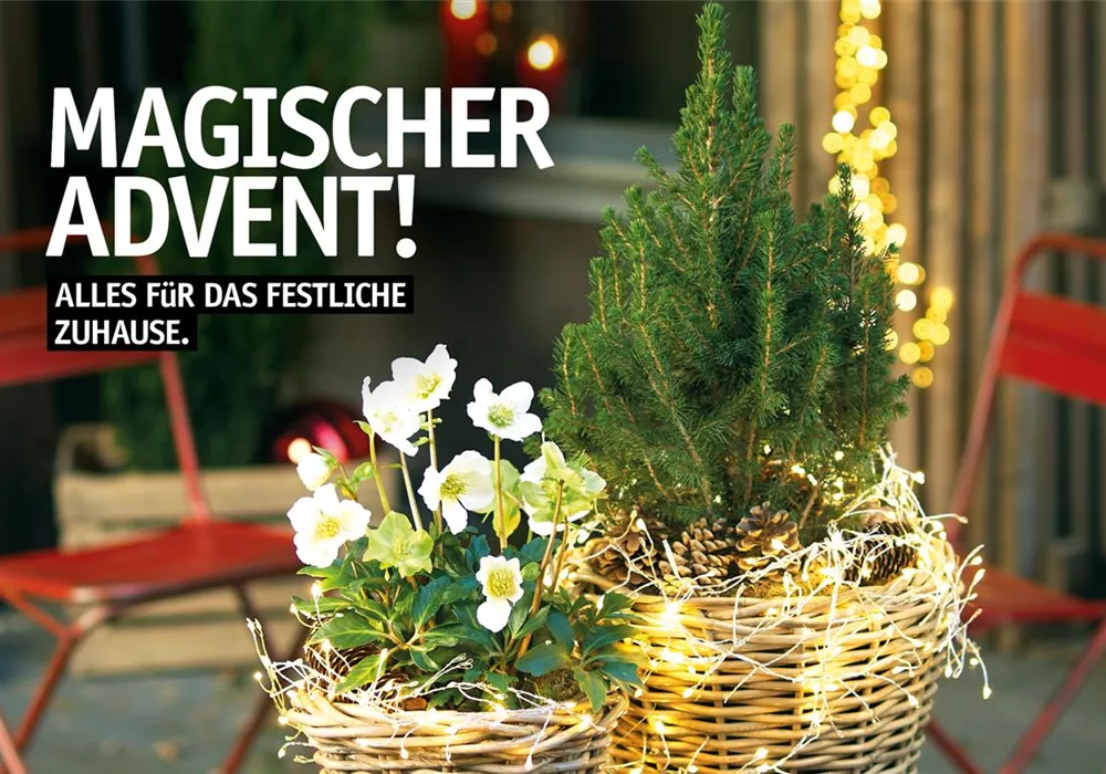 Endlich ist es soweit - ADVENTSMARKT-ERÖFFNUNG Endlich ist es soweit - ADVENTSMARKT-ERÖFFNUNG