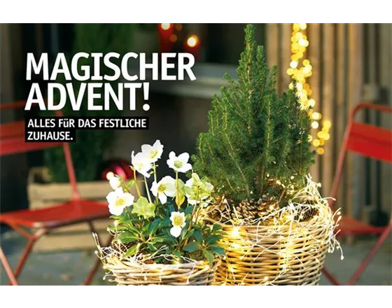 Adventsmarkteröffnung 2025 Adventsmarkteröffnung 2025