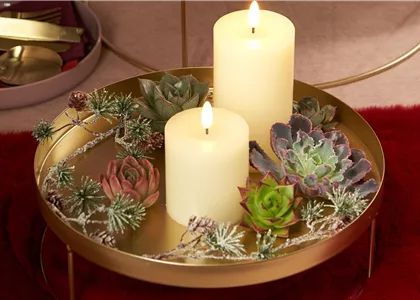 IM GLANZ DER ELEGANZ!