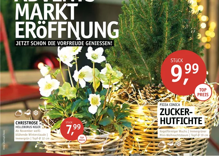 Adventsmarkteröffnung 2025 Adventsmarkteröffnung 2025