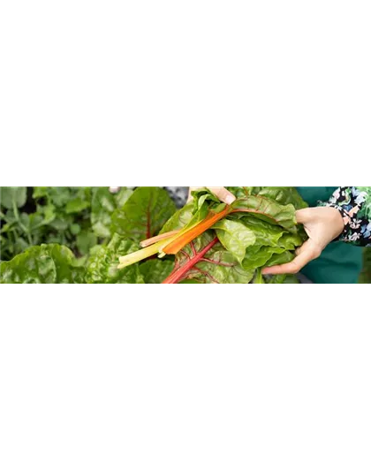 Buch des Monats: März!