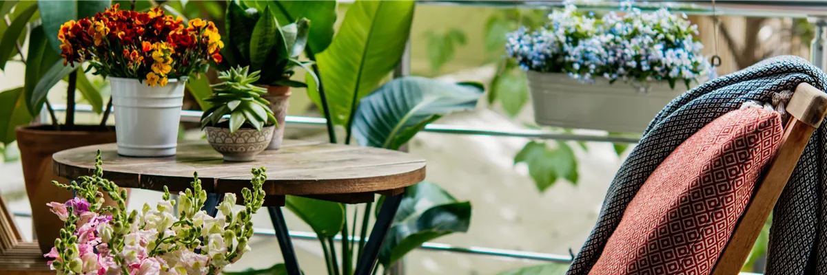 Buch des Monats: Mai!