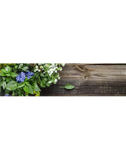 Buch des Monats: Juni!