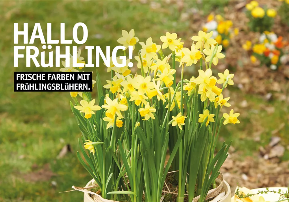 Start in den Frühling - am 08.03.2026 ab 11.00 Uhr