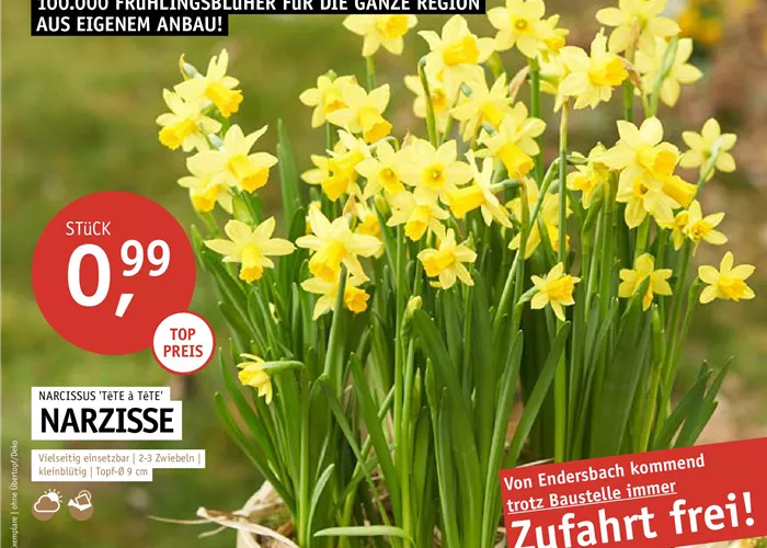 Start in den Frühling - trotz Baustelle