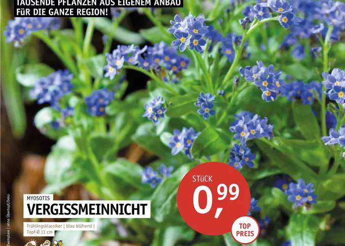 Direkt aus der Gärtnerei