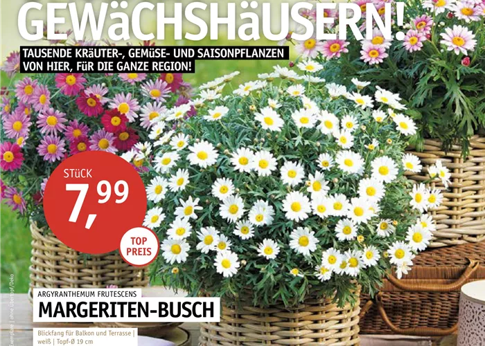 Unser aktueller Prospekt