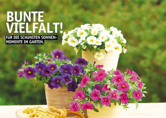 Start in den Sommer 2026