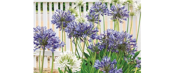 URLAUBSGEFÜHLE ZUHAUSE! 