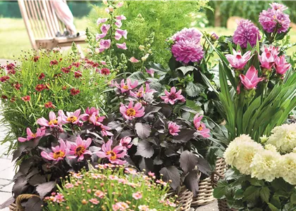 BLÜHENDER GARTEN! AUSDAUERNDE STAUDEN FÜR TERRASSEN UND BEETE. 