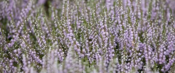 DAS GRAB IM HERBST! DAS GRAB IM HERBST!